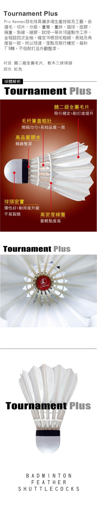 Tournament Plus